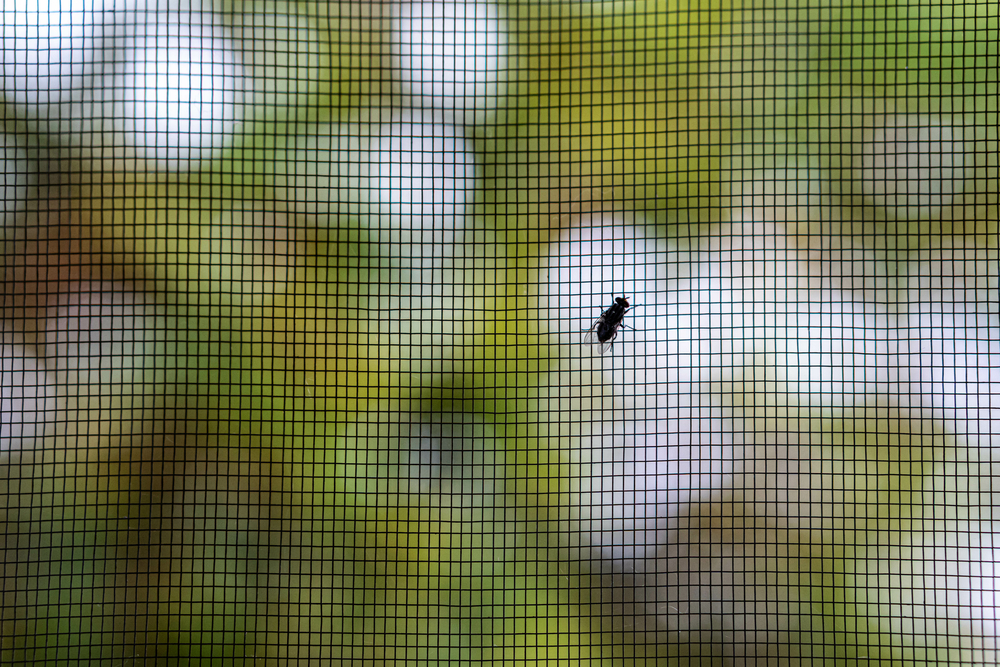 Guide to Insect Screens