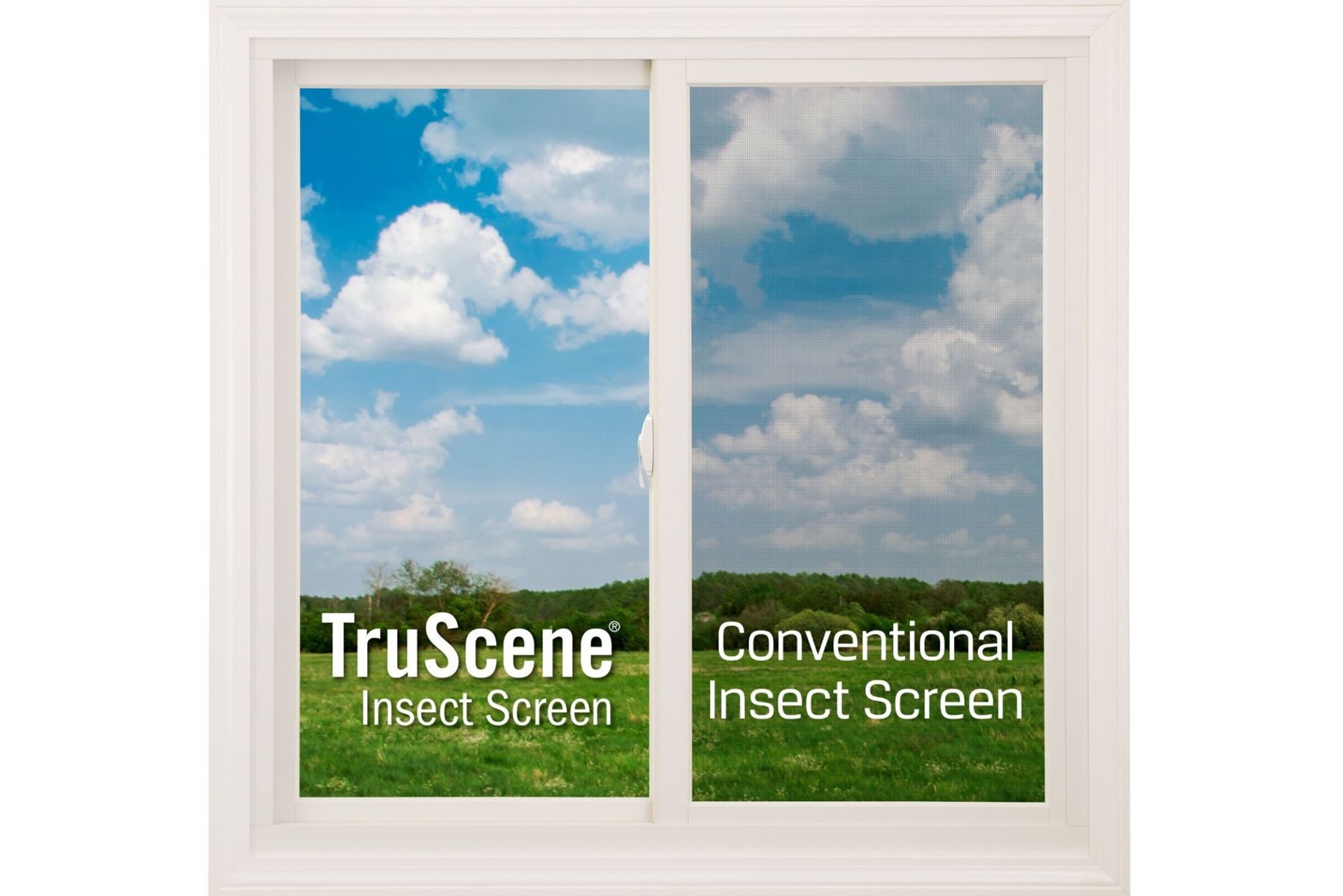 Guide to Insect Screens