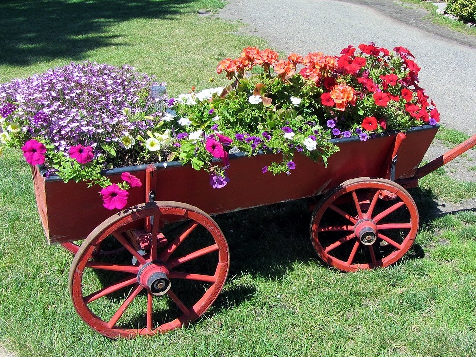 Container Gardening Tips