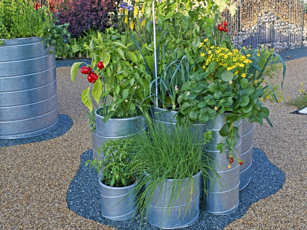 Container Gardening Tips